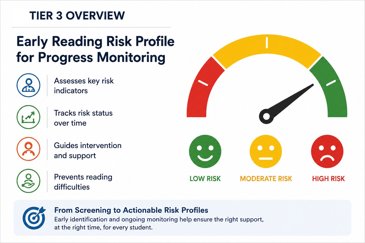 Tier 3 risk profile overview